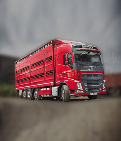 Тест без цены